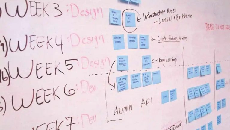 What is a Beta Program?